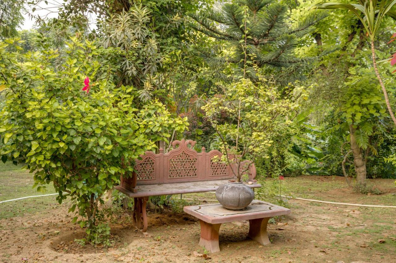 Hostie Chinar Haveli - Heritage Home With Pool, Ґурґаон Екстер'єр фото
