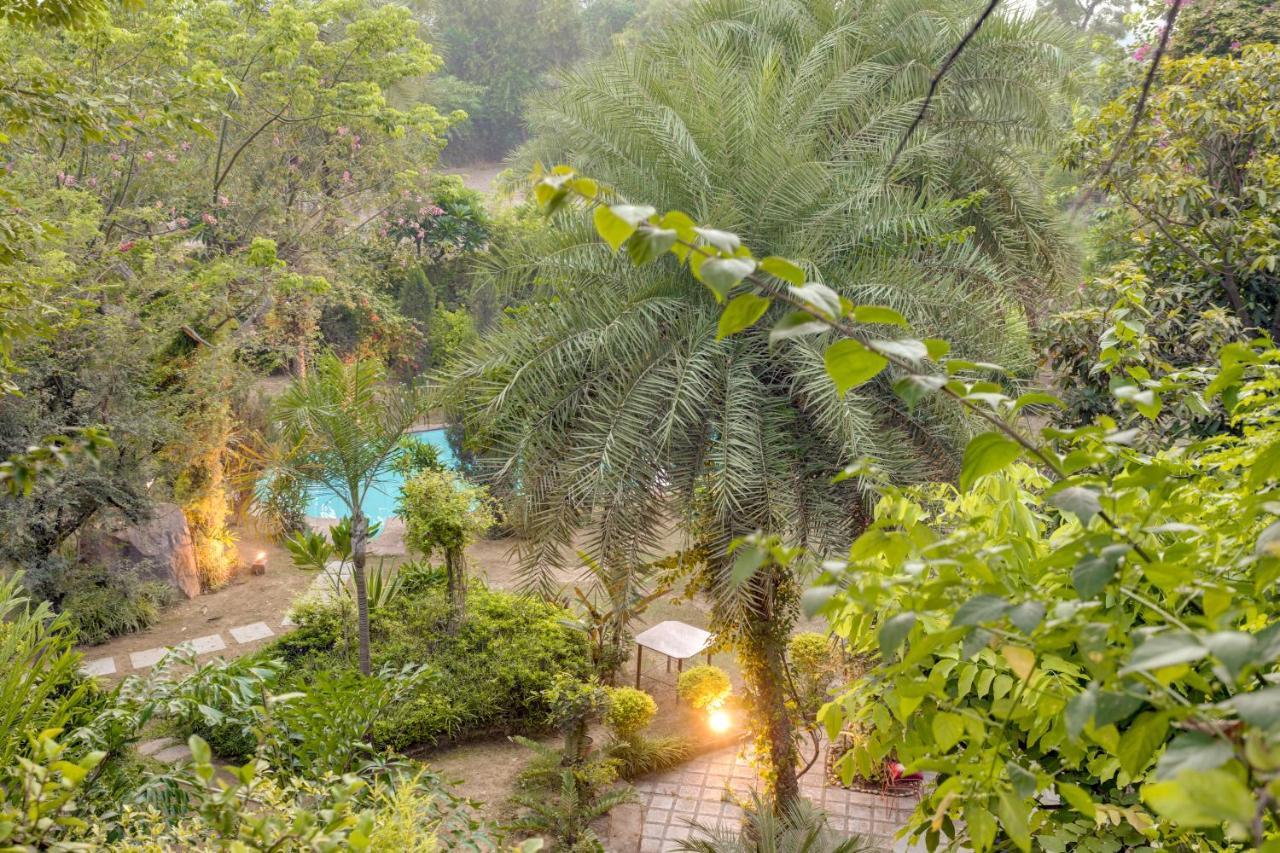Hostie Chinar Haveli - Heritage Home With Pool, Ґурґаон Екстер'єр фото