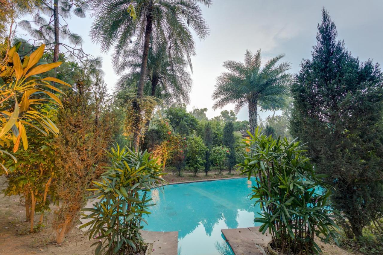 Hostie Chinar Haveli - Heritage Home With Pool, Ґурґаон Екстер'єр фото