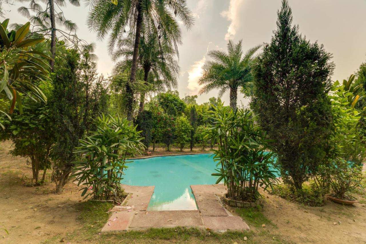 Hostie Chinar Haveli - Heritage Home With Pool, Ґурґаон Екстер'єр фото